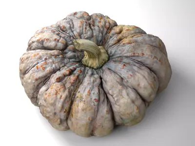 Warty Pumpkin - Photorealistic  Scan Low-poly 3D model