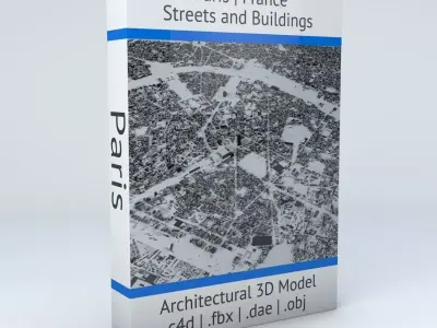 Paris Streets and Buildings 3D model