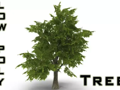 Tree LOW POLY juniper Low-poly 3D model