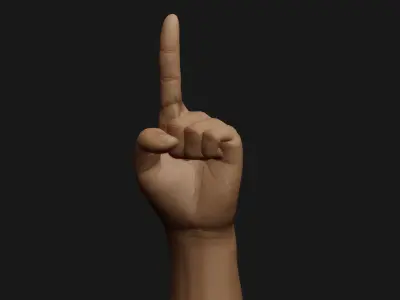 Male Left Hand Rigged Low-poly 3D model