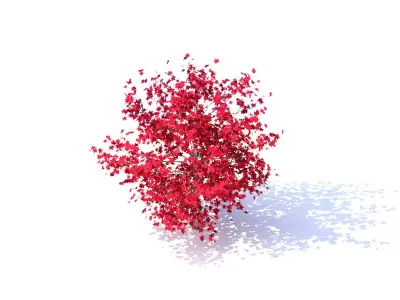 Red Maple Tree Acer Rubrum Low Poly 01 Low-poly 3D model