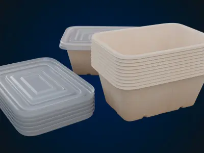 Box Food Cardboard Container - Disposable 3D model