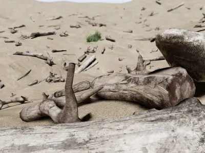 Driftwoods - Game Ready - PBR wooden stick Low-poly 3D model