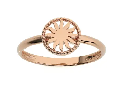 5 ight wt Plain Gold ring 3dm stl ply glb render details 3D Model Pack