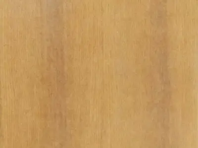 Wooden Door 3D model