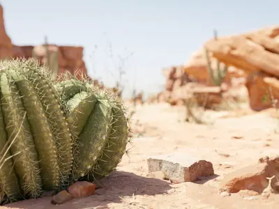 Desert Scene 3D model