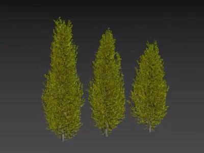  Evergreen arbor 3D model