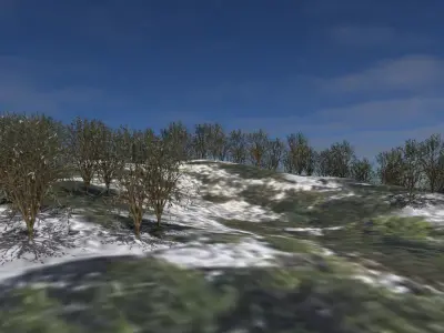 Forest Mountain Low-poly 3D model