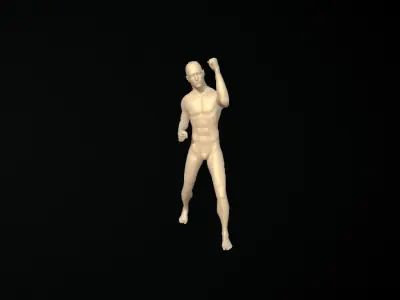 Ultimate Fighter Animation Starter Pack Free low-poly 3D model