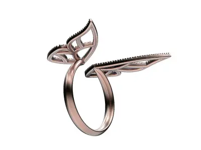 Ring Two Wings 3D print model