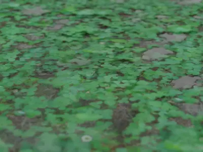 Clover grass 3D model