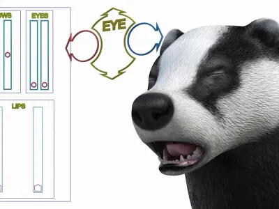  European Badger Grey Rigged 