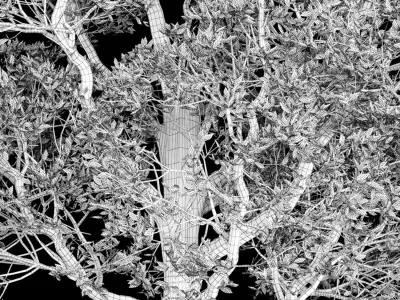 Tree for exterior design 3D model