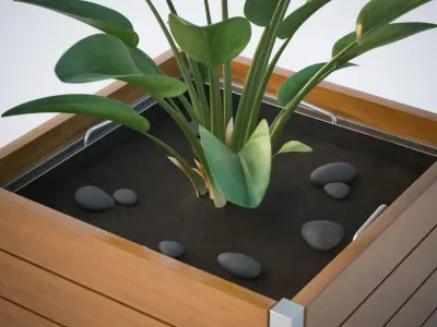 Green plant in a square pot 3D model