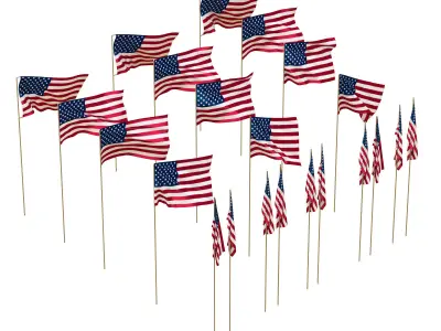 USA flags in the wind 3D model