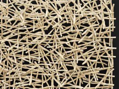 Stick Wall Art 3D 3D model