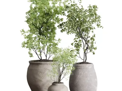 Tree in an Old Earthenware Vase Outdoor Collection 104 3D model