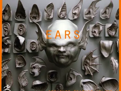 EARS - 40 ZBRUSH VDMs 3D model