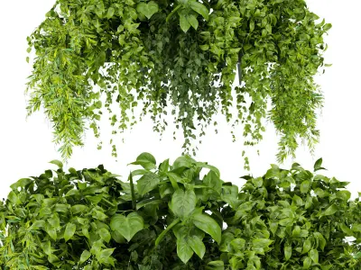 Collection plant vol 01 balcony  3D Model Pack