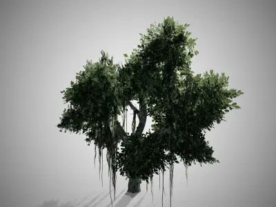 Chinese Banyan Tree Low-poly 3D model