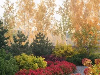 Plants Collection 2 3D model