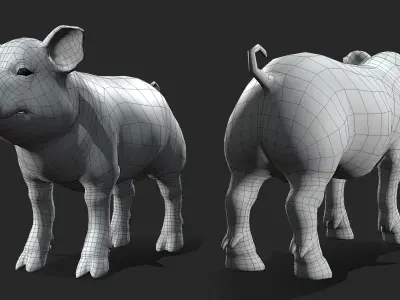 Baby Pig BaseMesh - Topology + UV Map