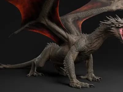  Dragon Adult Rigged 