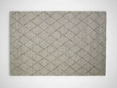 Losagne White Rug 3D model
