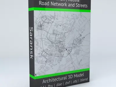 Saransk Road Network and Streets 3D model