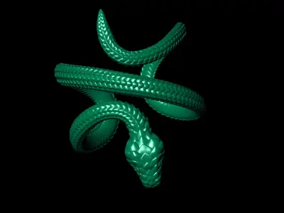 Ring Snake  3D print model