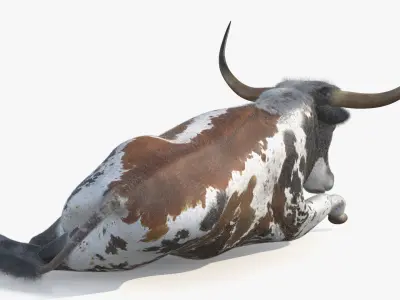  Farm Animals Big Rigged Collection 5 