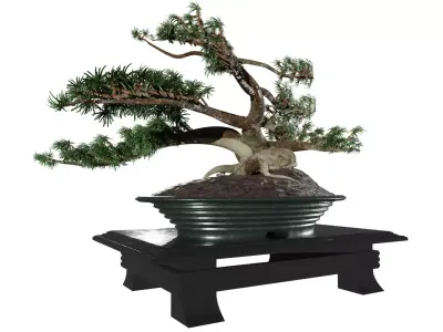 Low-Poly Bonsai Tree Low-poly 3D model