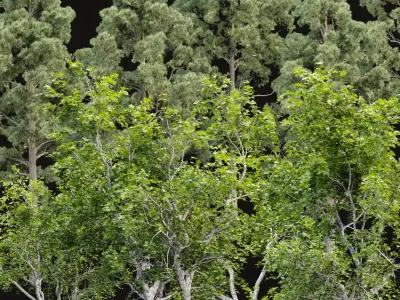 Trees collection vol 250 3D Model Pack