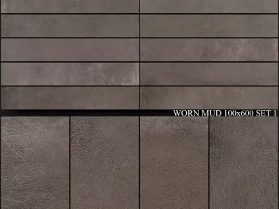 Ariana Ceramica Worn Mud 100x600 Set 1 3D model