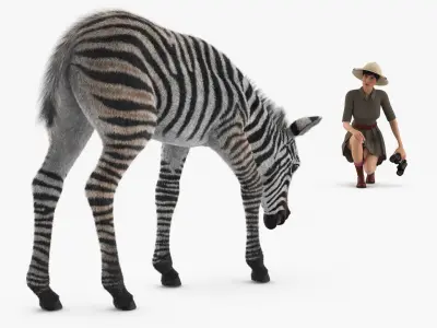  Explorer and Foal Fur 