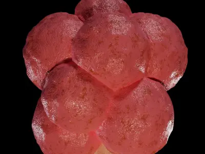 Plumbus - Rick and Morty 3D model