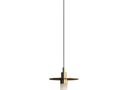  Hot Plate Shape Pendant Light 3D model