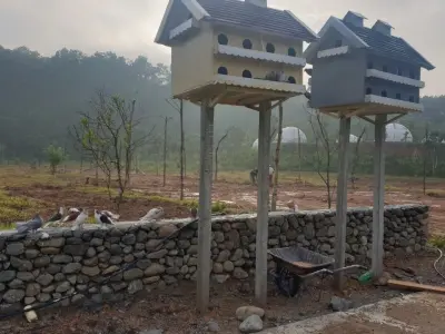 pigeon coop 3D model