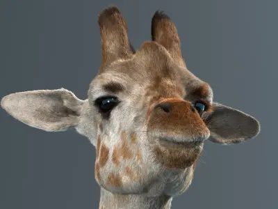  Giraffe Fur Rigged 