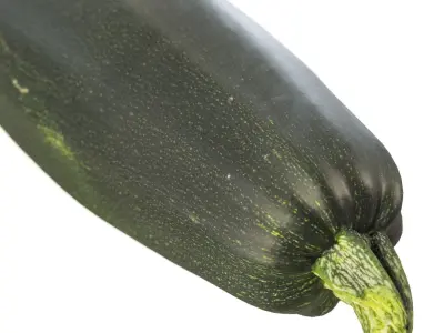 4k vegetable marrow 3D model