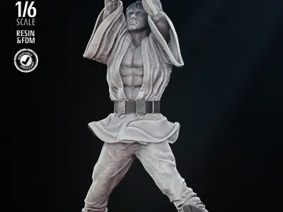 STAR WARS Luke New Hope Sculpture 3D print model