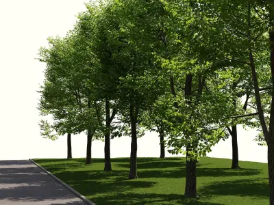 Landscape toolkit street 3D model