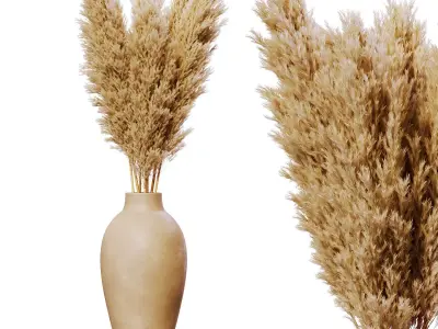 Dried pampas in pot 3D model