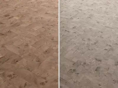 Birch Burl wood flooring and parquet Set 02 Texture