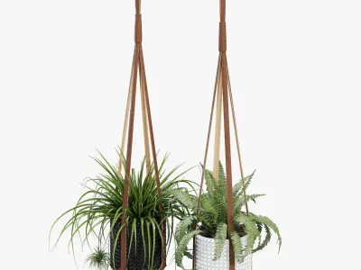 Corium Plant Hanger 3D model