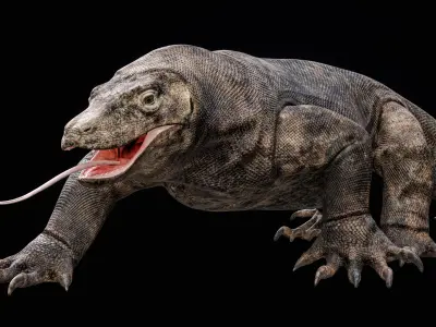  Komodo Dragon Detailed Rigged PBR 