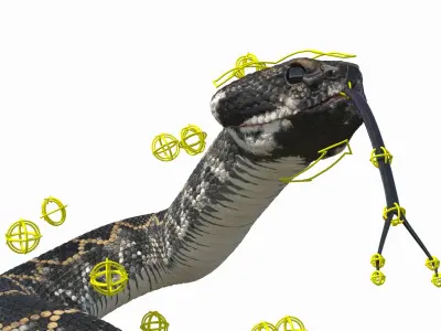  Rattlesnake Attack Animated Rigged 