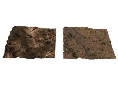 Forest litter  Low-poly 3D model