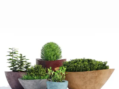 Dune series 3D model