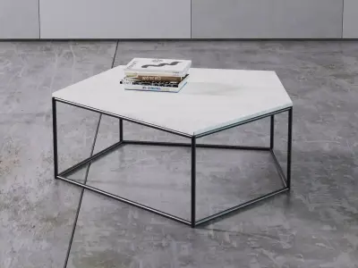 Jess hexagonal coffee table with metal frame 3D model